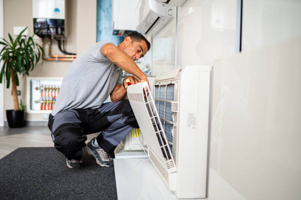 Best Local Air Duct Cleaning Services  in Dayton, NV